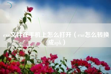exe文件在手机上怎么打开（exe怎么转换成apk）