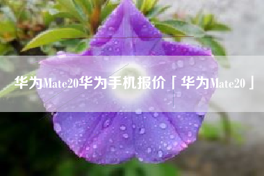 华为Mate20华为手机报价「华为Mate20」 华为Mate20华为手机报价「华为Mate20」