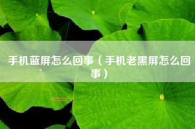 手机蓝屏怎么回事（手机老黑屏怎么回事）