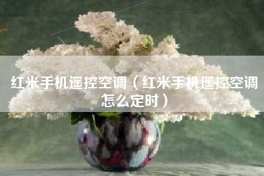 红米手机遥控空调（红米手机遥控空调怎么定时）