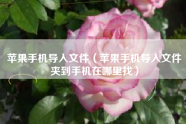 苹果手机导入文件（苹果手机导入文件夹到手机在哪里找）