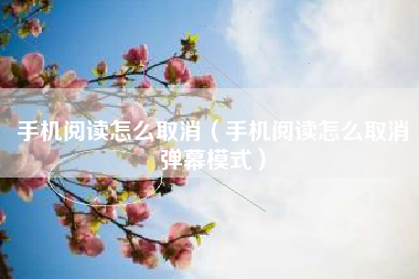 手机阅读怎么取消（手机阅读怎么取消弹幕模式）