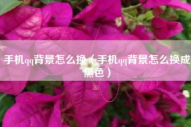 手机qq背景怎么换（手机qq背景怎么换成黑色）