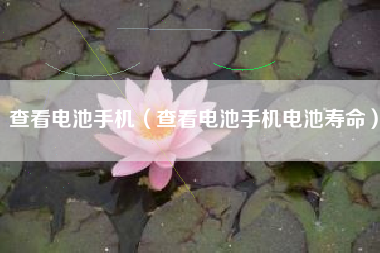 查看电池手机（查看电池手机电池寿命）
