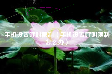 手机设置呼叫限制（手机设置呼叫限制怎么办）