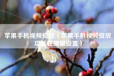 苹果手机视频慢放（苹果手机视频慢放功能在哪里设置）