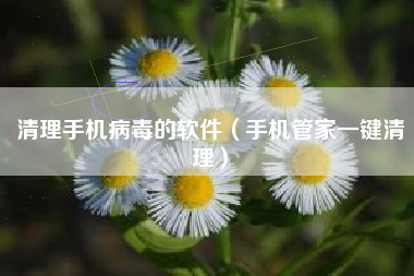 清理手机病毒的软件（手机管家一键清理）
