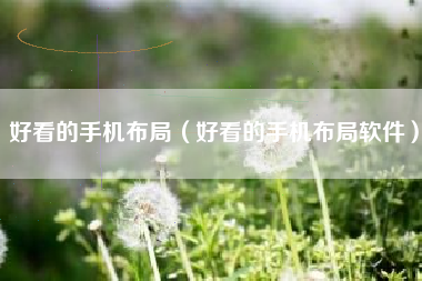 好看的手机布局（好看的手机布局软件）