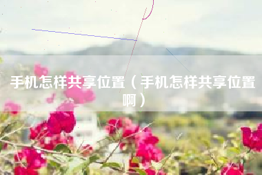 手机怎样共享位置（手机怎样共享位置啊）