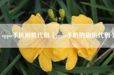 oppo手机刷机代码（oppo手机的刷机代码）