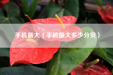 手机最大（手机最大多少分贝）