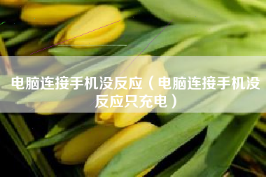 电脑连接手机没反应（电脑连接手机没反应只充电）