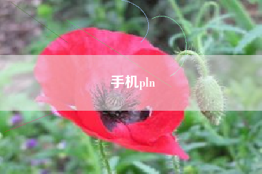 手机pln
