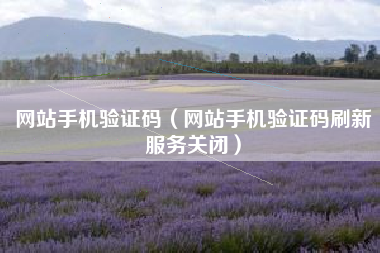 网站手机验证码（网站手机验证码刷新服务关闭）