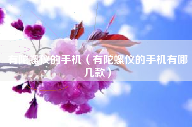 有陀螺仪的手机（有陀螺仪的手机有哪几款）