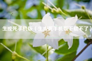 生或死手机版（生或死手机版下载不了）