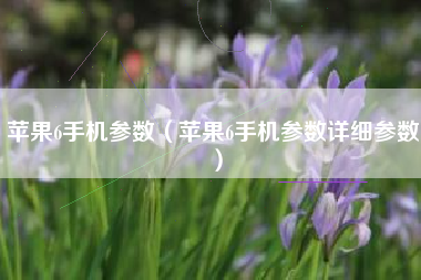 苹果6手机参数（苹果6手机参数详细参数）