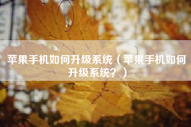 苹果手机如何升级系统（苹果手机如何升级系统？）