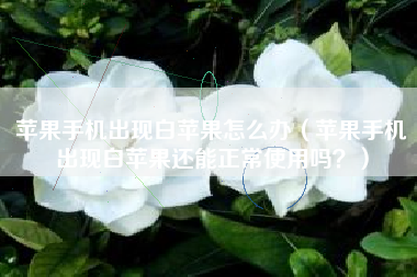 苹果手机出现白苹果怎么办（苹果手机出现白苹果还能正常使用吗？）