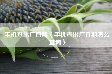 手机查出厂日期（手机查出厂日期怎么查询）