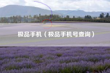 极品手机（极品手机号查询）