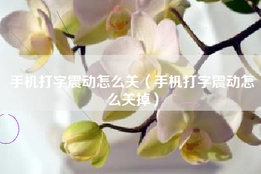 手机打字震动怎么关（手机打字震动怎么关掉）