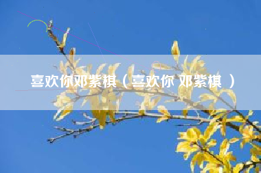 喜欢你邓紫棋（喜欢你 邓紫棋 ）