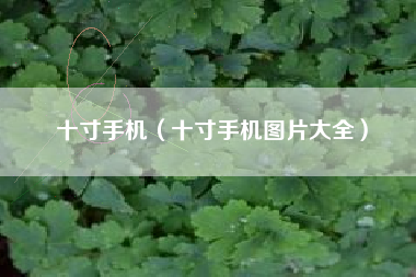 十寸手机（十寸手机图片大全）