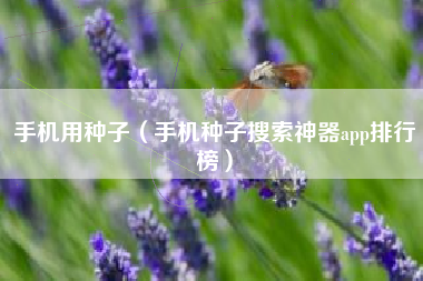 手机用种子（手机种子搜索神器app排行榜）