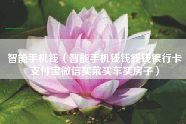 智能手机钱（智能手机钱钱钱钱银行卡支付宝微信买菜买车买房子）