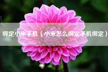 绑定小米手机（小米怎么绑定手机绑定）