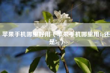 苹果手机哪里好用（苹果手机哪里用4g还是5g）