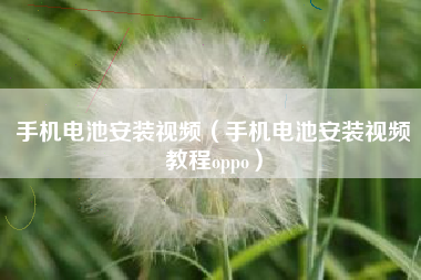 手机电池安装视频（手机电池安装视频教程oppo）