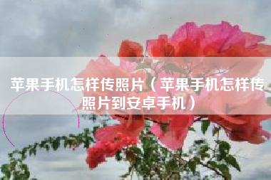 苹果手机怎样传照片（苹果手机怎样传照片到安卓手机）