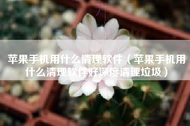 苹果手机用什么清理软件（苹果手机用什么清理软件好深度清理垃圾）