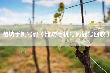 潍坊手机号码（潍坊手机号码靓号回收）