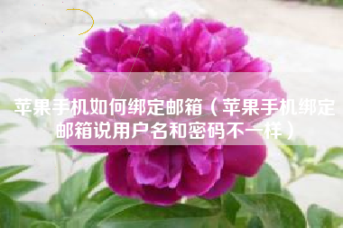 苹果手机如何绑定邮箱（苹果手机绑定邮箱说用户名和密码不一样）