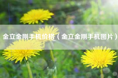 金立金刚手机价格（金立金刚手机图片）