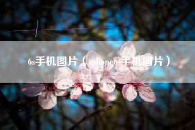 6s手机图片（iphone6s手机图片）