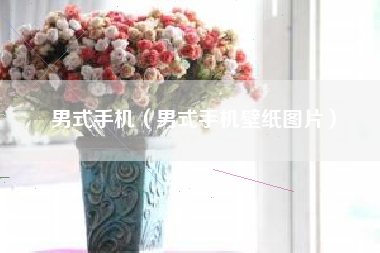 男式手机（男式手机壁纸图片）