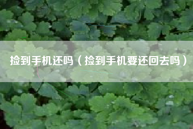 捡到手机还吗（捡到手机要还回去吗）