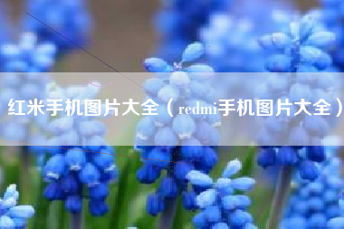红米手机图片大全（redmi手机图片大全）