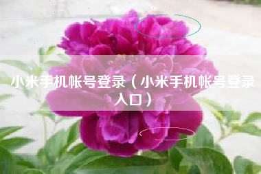 小米手机帐号登录（小米手机帐号登录入口）