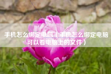 手机怎么绑定电脑（手机怎么绑定电脑可以看电脑上的文件）