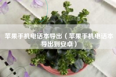 苹果手机电话本导出（苹果手机电话本导出到安卓）