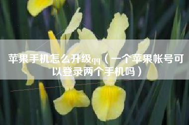 苹果手机怎么升级qq（一个苹果帐号可以登录两个手机吗）