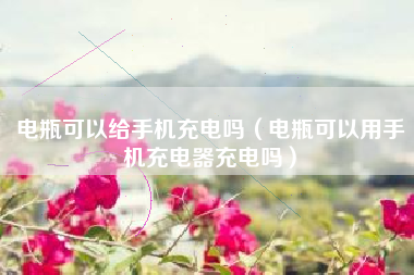 电瓶可以给手机充电吗（电瓶可以用手机充电器充电吗）