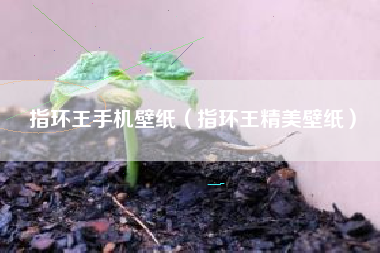 指环王手机壁纸（指环王精美壁纸）