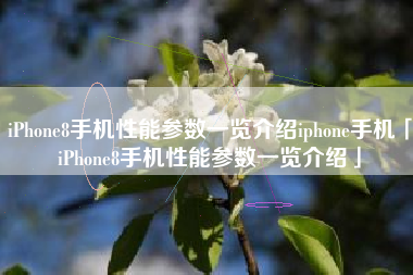 iPhone8手机性能参数一览介绍iphone手机「iPhone8手机性能参数一览介绍」