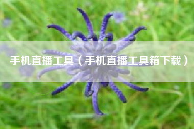 手机直播工具（手机直播工具箱下载）